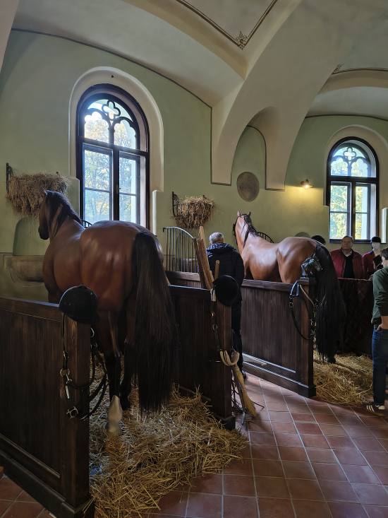 IMG_20261015_155822879_HDR - kopie