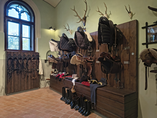IMG_20261015_155922597_HDR